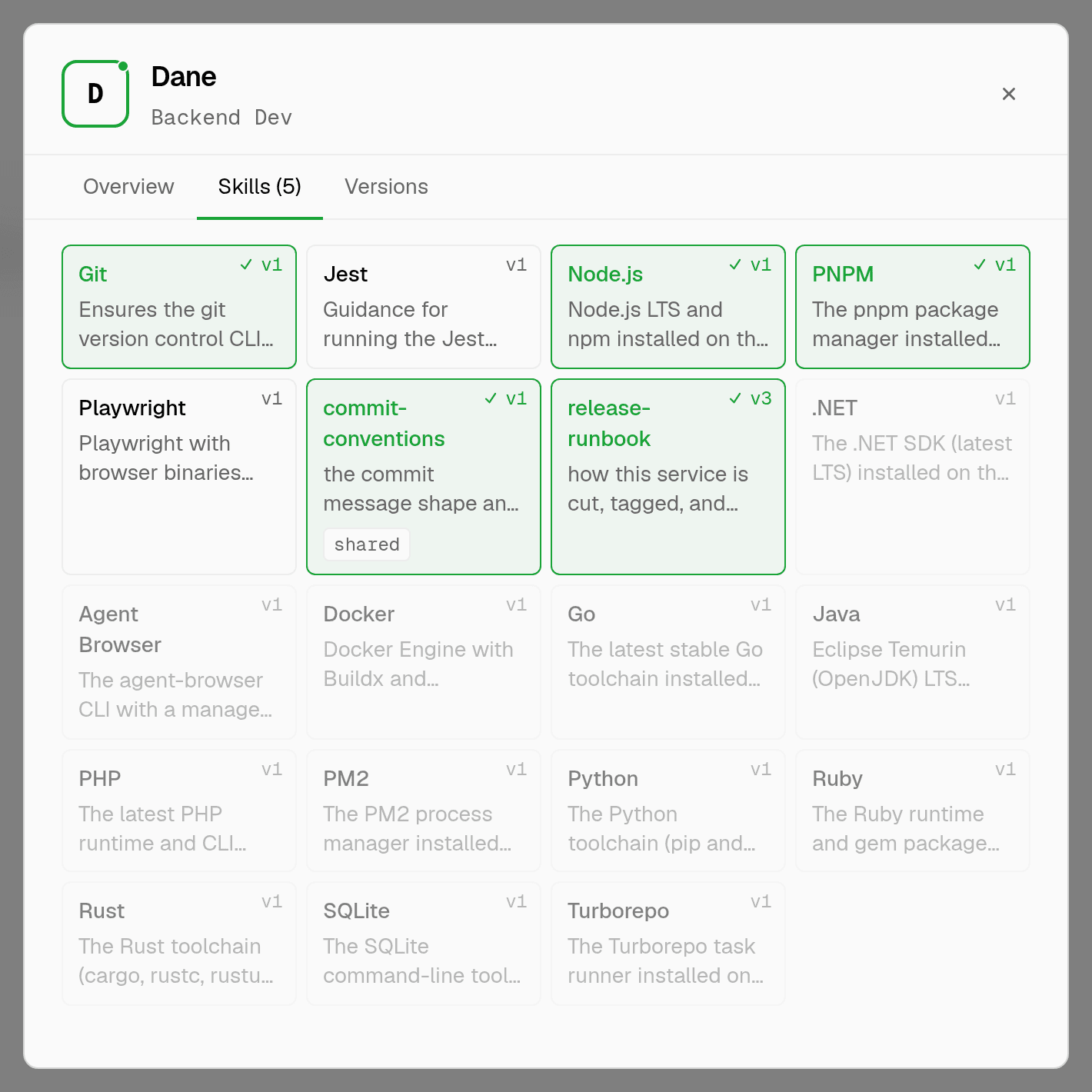 a backend dev's skills tab with git, node.js, pnpm and two custom skills attached in green, and the skills whose technology is not installed on the room server greyed out